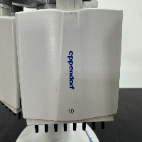 Eppendorf Research Plus Multichannel Pipettes and Stand image 2